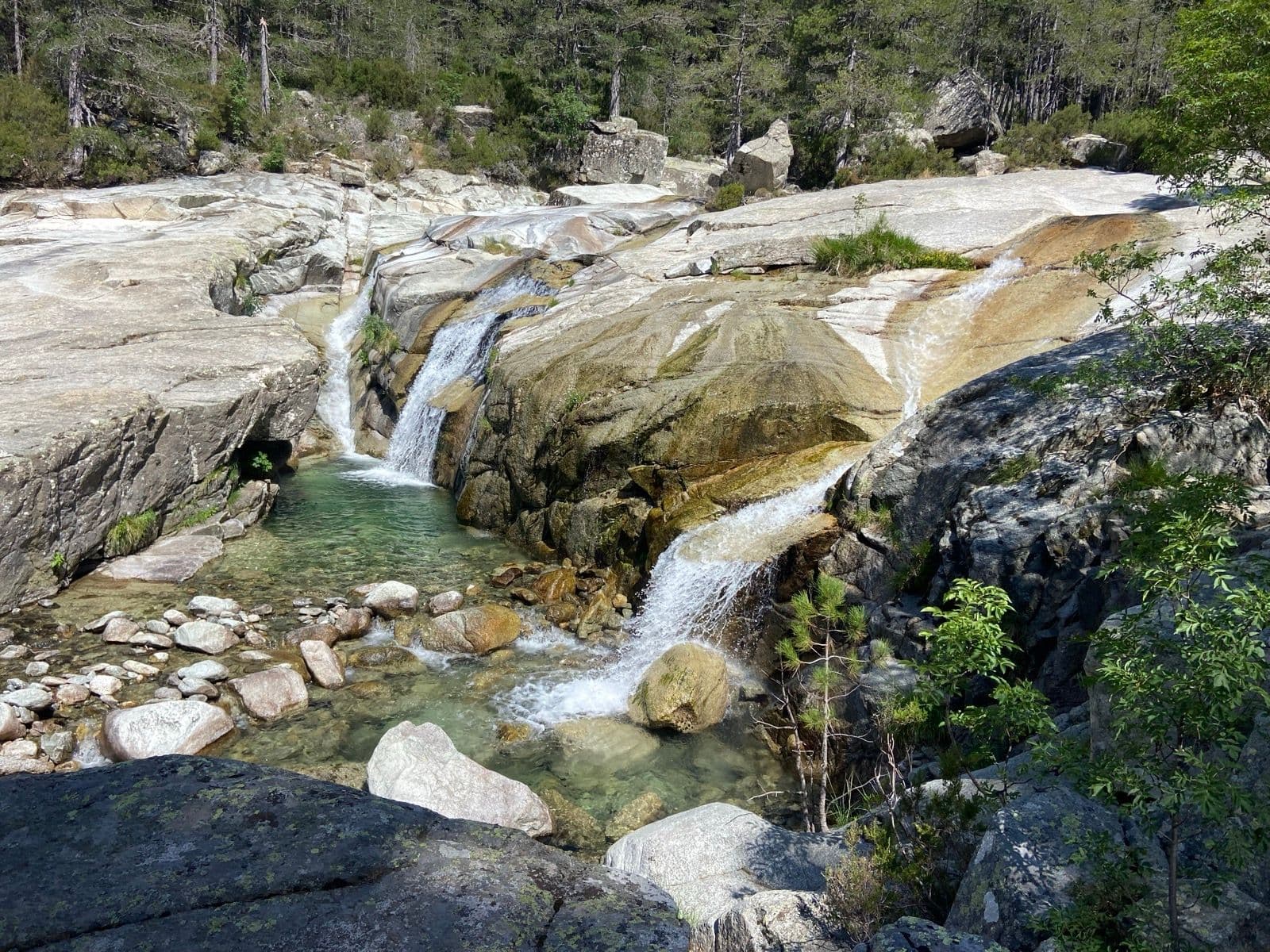 Waterfalls cascade over smooth rocks into clear pools surrounded by forest in the Manganello area.