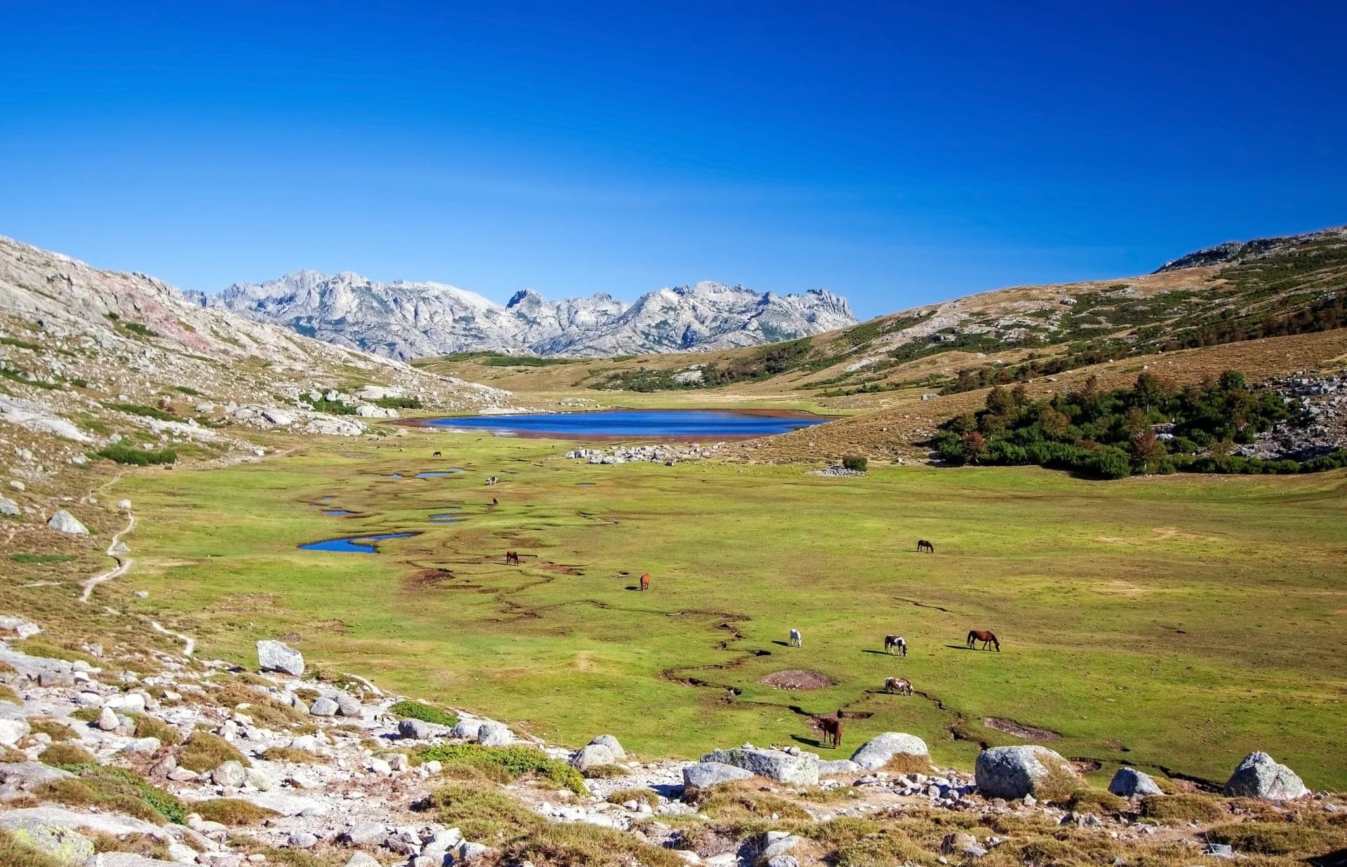Lago di Nino - Corsica