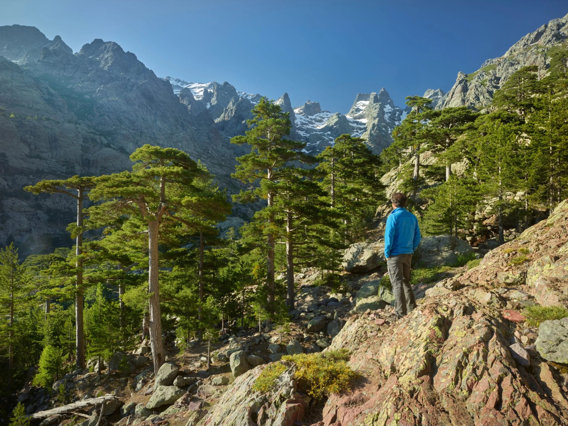 Monte Cinto, Haut Asco Hiker