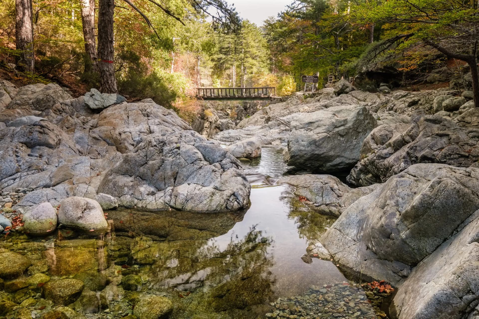 L'Agnone river passes over rocks into natural pools and under a wooden bridge in the forest of Vizzavona alongside the GR20 trail in Corsica