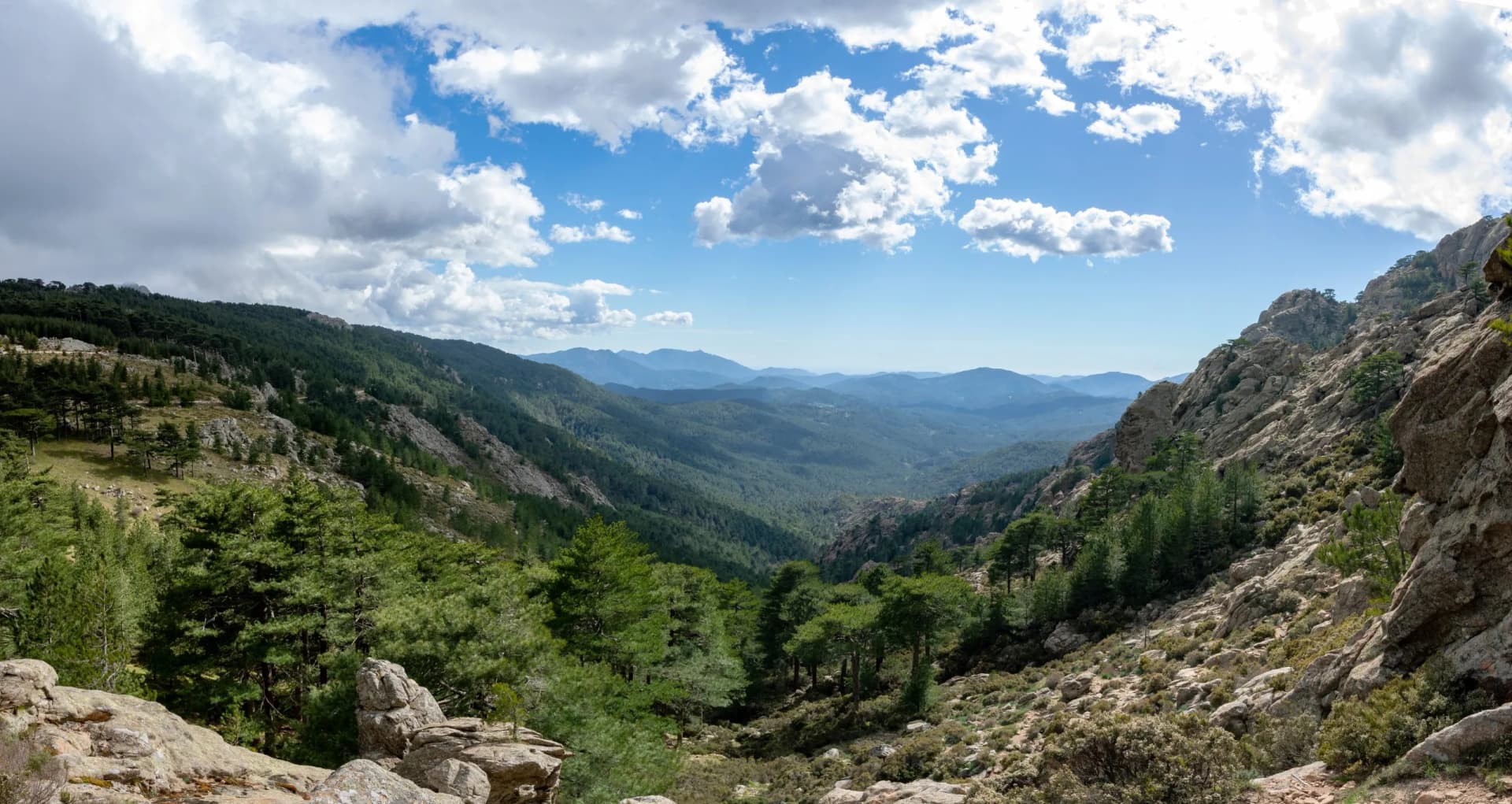 Panoramic view the Bavella Needles