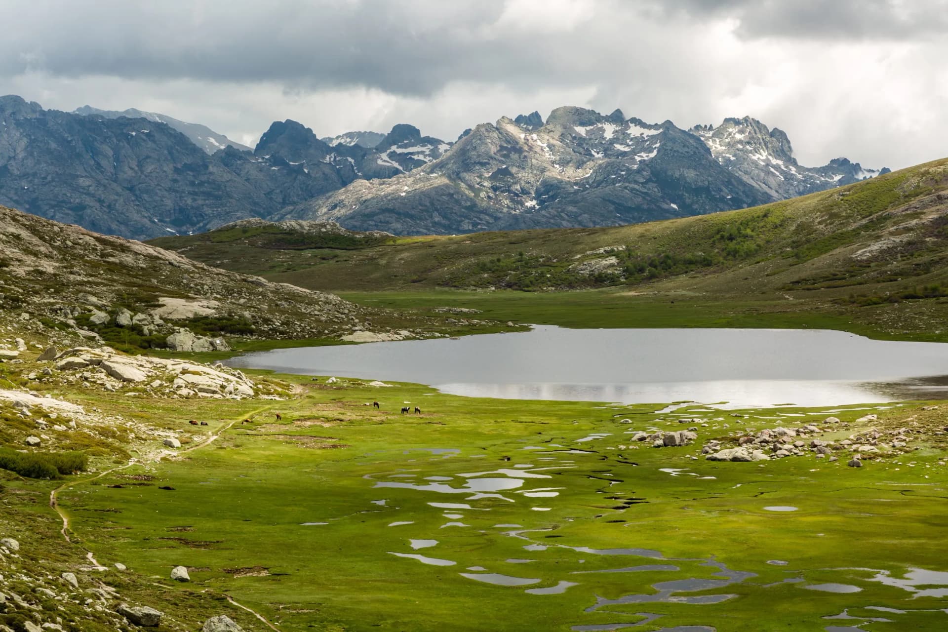 Alpine lake in Corsica with rugged mountains and green marshy foreground.