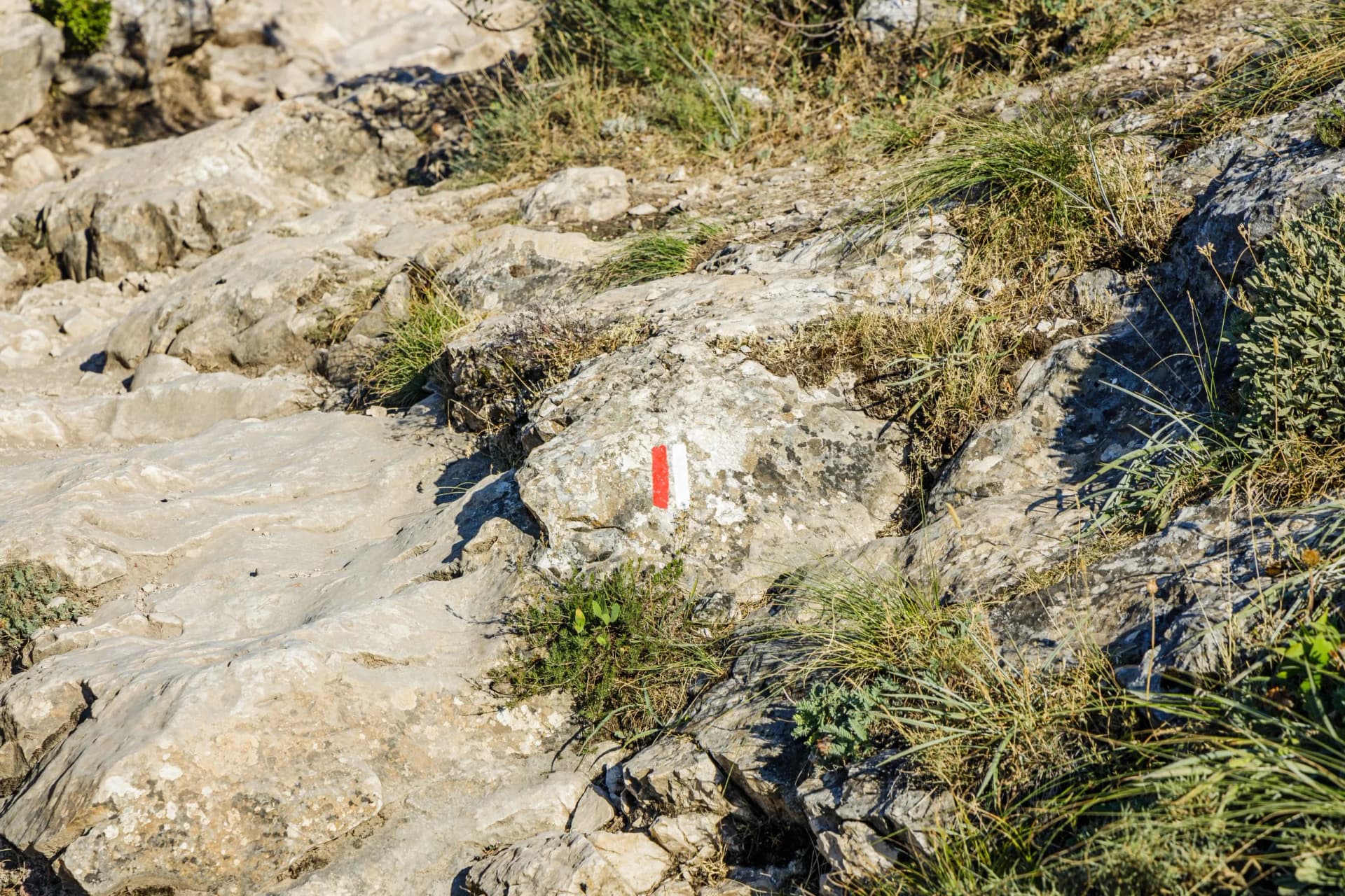 Red and white GR path marker on rocky trail with sparse green and dry grasses on Montagne Sainte-Victoire.
